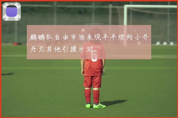 鹈鹕队自由市场表现平平续约小乔丹无其他引援计划