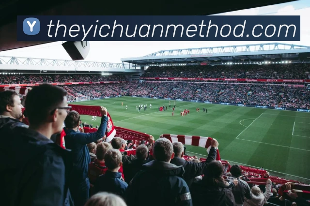 体育直播服务